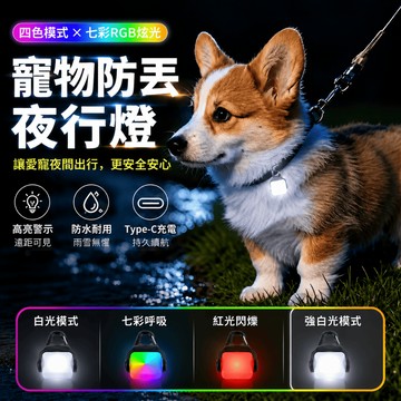 寵物 發光項圈 寵物項圈 防走丟 LED發光吊墜 防水 夜間遛狗 夜間行走 發光狗牌 發光吊飾 寵物吊飾 發光狗吊墜