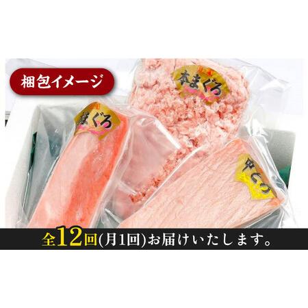 ふるさと納税 対馬産 養殖 本マグロ 3種×各1パック 赤身   中トロ   ネギトロ )《対馬市》 新鮮 マグロ 鮪 本鮪.. 長崎県対馬市