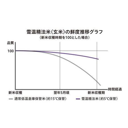 ふるさと納税 （10kg×全3回）契約栽培 雪蔵貯蔵米 南魚沼産こしひかり 新潟県南魚沼市