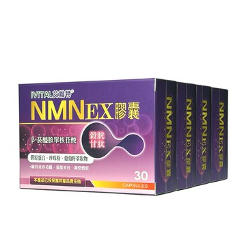 IVITAL NMN EX膠囊(30粒)「買3送1盒組」