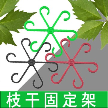 臺灣嚴選龜背竹支撐固定器防倒伏春羽支架水培枝幹固定花盆架園藝花卉綠植