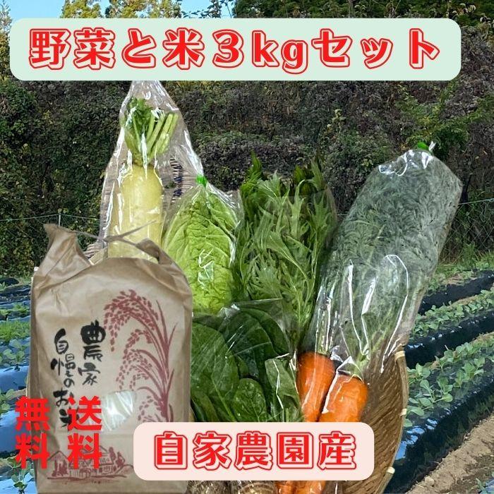 有機野菜＋米3kgセット 送料無料 有機栽培 無農薬