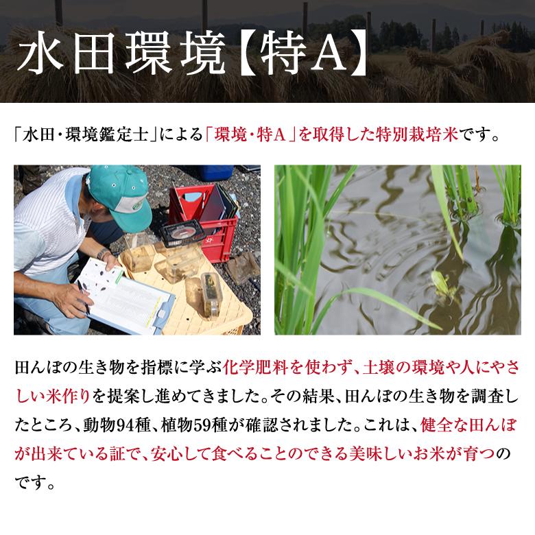 米 新米 コシヒカリ 10kg 農薬不使用 山形県産 お米 生きた玄米 紅の華 令和5年産 特A米 特別栽培米 上和田米