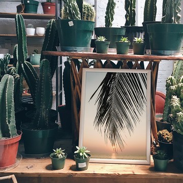 棕櫚與遠洋－畫/餐廳掛畫/棕櫚/Chill/北歐風/現代畫/複製畫