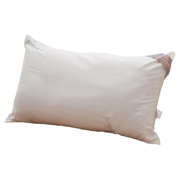 Giovanni Valentino 石墨烯遠紅外線抗菌枕  45 x 75cm  1個