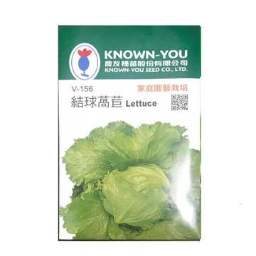 【向花緣】農友 結球萵苣 - 蔬菜種子