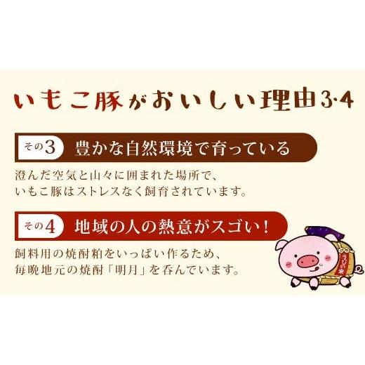 ふるさと納税 宮崎県 えびの市 いもこ豚（彩）バラエティセット 1.6kg セット 詰合せ 宮崎県産