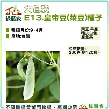【綠藝家】大包裝E13.皇帝豆(萊豆)種子200克 萊豆.早產.種皮白色.產量高 豆類種子大包裝