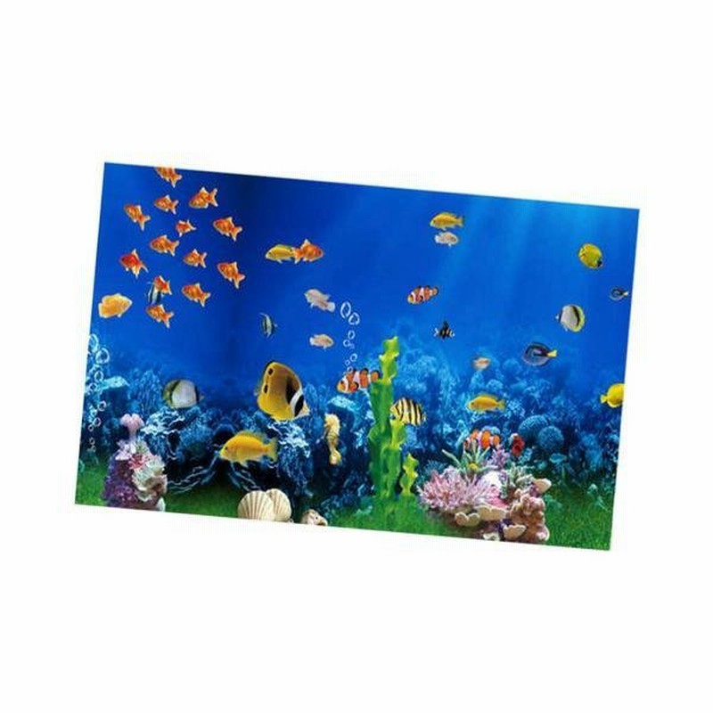 水族館の風景ステッカーポスター水槽接着剤3d装飾62x40cm 通販 Lineポイント最大get Lineショッピング