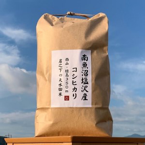 塩沢コシヒカリ精米15kg(5kg×3)