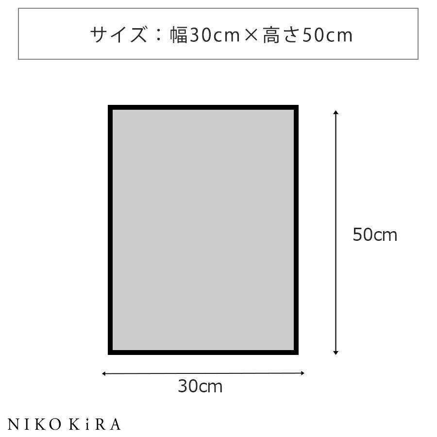 アートパネル 日本 名画 伊藤若冲 牡丹図 ぼたんず 30cm 50cm おしゃれ 絵画 絵 ポスター フレーム付き トイレ 玄関 開運 アート 日本画 和柄 和風 和モダン