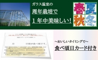 クラウン印マスクメロン“名人メロン”1玉 桐箱入り