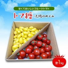 おいしい～甘～いフルーツトマト「トマ糖‐太陽のめぐみ」1kg(フルティカ500g、ティポ500g)