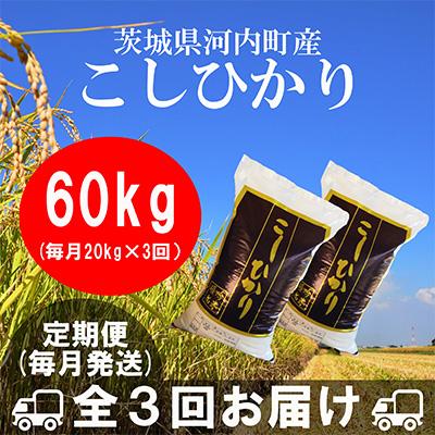 ふるさと納税 河内町 茨城県河内町産コシヒカリ20kg 全3回