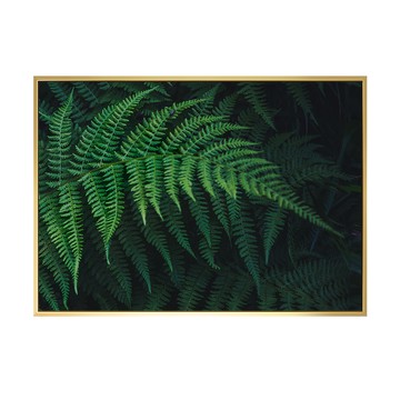 仲夏的交響曲II  1個  30 x 40cm  金色