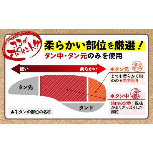 ふるさと納税 沖縄県 八重瀬町 たっぷり厚切り牛タン５００ｇ×２パック