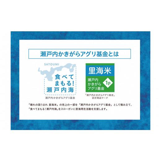 ふるさと納税 岡山県 備前市 里海米 きぬむすめ（無洗米）