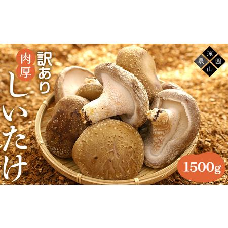 ふるさと納税 訳あり 中身美人の新鮮しいたけ 1,500g 兵庫県相生市