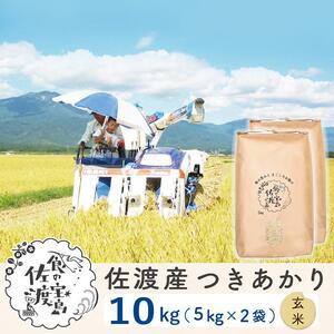 ふるさと納税 佐渡島産 つきあかり 玄米10kg(5Kg×2袋）〜農薬5割減