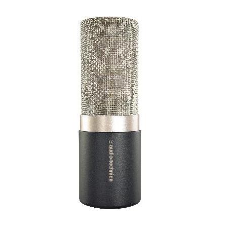 Audio-Technica Condenser Microphone (AT5040)