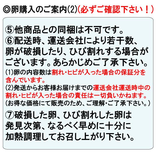 卵 Mサイズ 10kg 約157-172個 業務用 送料無料 夏季クール便