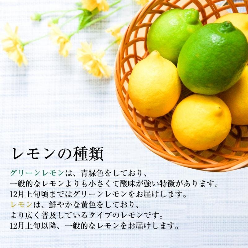 レモン 訳あり 4.5kg 国産 愛媛産 送料無料 産地直送 柑橘 フルーツ 果物 防腐剤 防カビ剤 不使用 ノンワックス