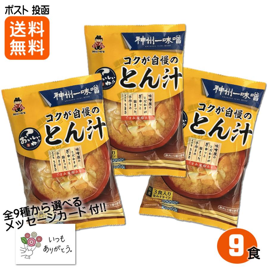 コクが自慢のとん汁 64g×９食 生みそタイプ 神州一味噌