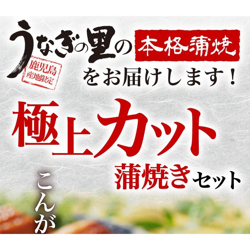 ポイント5倍 母の日 プレゼント グルメ うなぎ  鹿児島産 ブランド鰻 カット蒲焼き5食  ギフトBOX お洒落な専用ギフトBOXでお届け 魚介類 クール