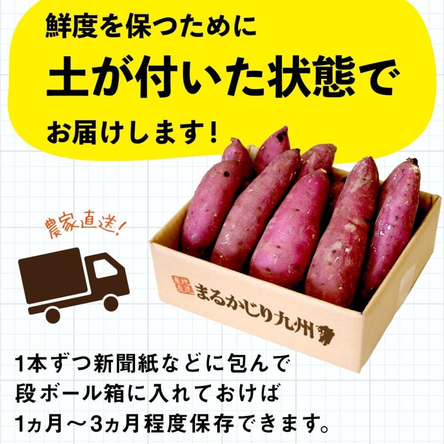 さつまいも 紅はるか 鹿児島産 1箱 約2kg  サツマイモ べにはるか さつま芋 生さつまいも 産直特価 鹿児島