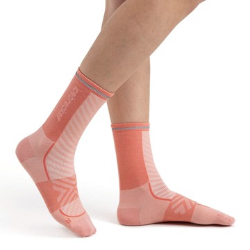 【紐西蘭Icebreaker】女 中筒輕薄毛圈慢跑襪(+)-珊瑚粉橘