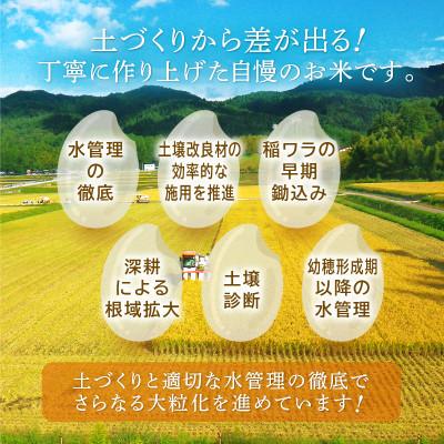 ふるさと納税 越前町 無洗米 いちほまれ 20kg 令和5年福井県産(精米)