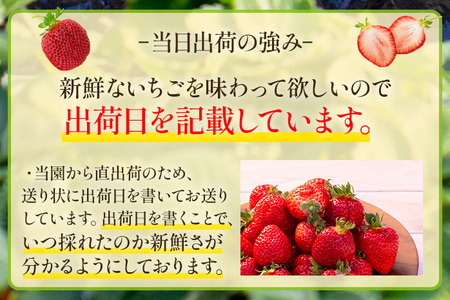 ごほうびいちご （約250g×4パック ） ＜2024年1月以降順次発送予定＞ いちご 苺 高品質 完熟 フルーツ 果物 お取り寄せ ご当地グルメ 福岡土産 取り寄せ グルメ 福岡県 食品