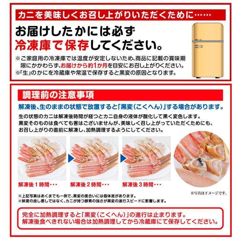 かに 特大 生ずわいがに 1kg （500g×2パック） ポーション 脚むき身 送料無料 生食用 脚肉のみ 蟹 棒肉 冷凍便 食品