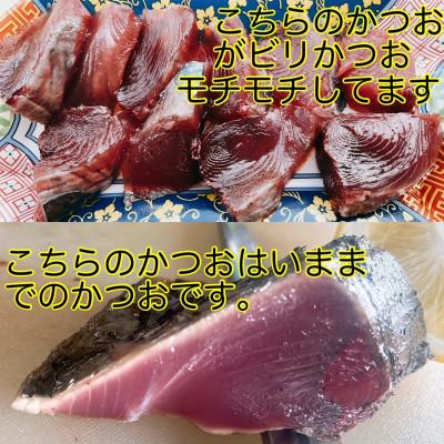 ふるさと納税 南国市 モチモチ食感!ビリかつお刺身250g×2節(刺身醤油・ニンニク付き)