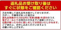 akune-2-131 ＜先行予約受付中！2024年4月中旬以降発送予定＞春の味覚の鹿児島県産そらまめ(4kg)2-131