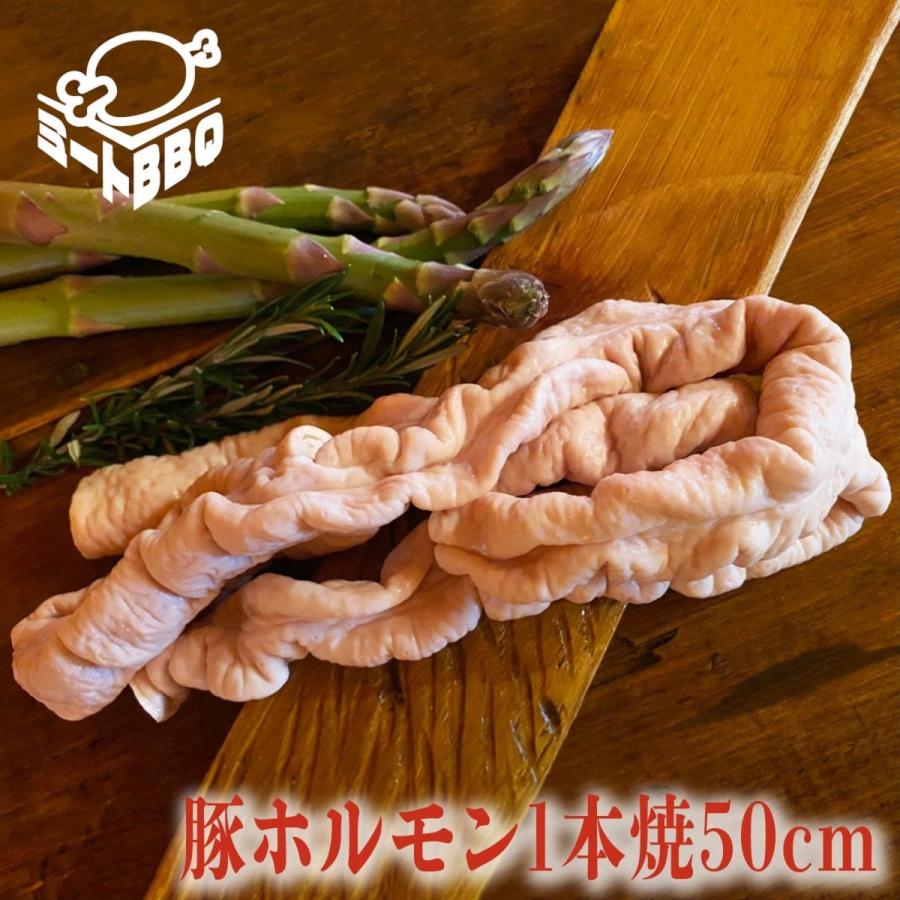 豚ホルモン１本焼50cm　約500ｇ　バーベキュー　BBQ　焼肉　白モツ　ゆでモツ　キャンプ