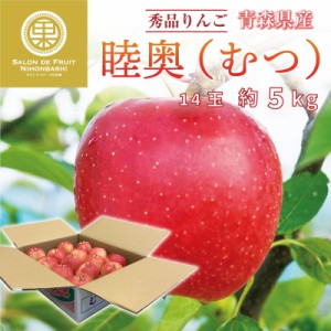 [予約 11月15日～12月15日]  陸奥 約5kg 14玉 大玉サイズ 青森県産 産地箱 秀品 むつ りんご リンゴ  ギフト 贈答用 通販