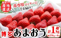 ＜予約受付中！2023年11月下旬より順次発送予定＞農家直送 朝採り新鮮いちご(計1080g・約270g×4P) ＜離島配送不可＞