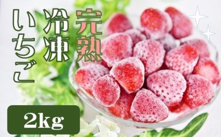 特別賞受賞！完熟冷凍いちごBabyBerryFarm（2kg）