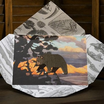 Novigo 已滅絕動物熨燙刺繡 / 加州灰熊