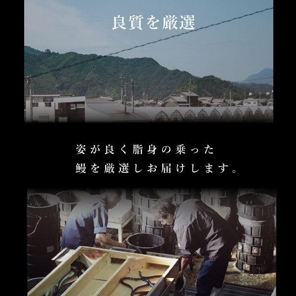 土用の丑の日　高知　国産　鰻　蒲焼　2尾セット　贈り物 ギフト 内祝 御歳暮 御中元 高知　特産品