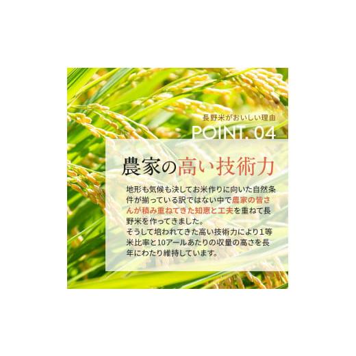 ふるさと納税 長野県 千曲市 信州米 こしひかり 玄米 10kg 長野県産