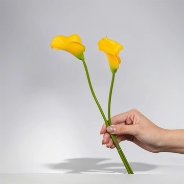 氣質仙女黃色海芋仿真花花材(5入組)