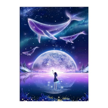 鑽石畫 ZSD3411  銀河女孩  1個