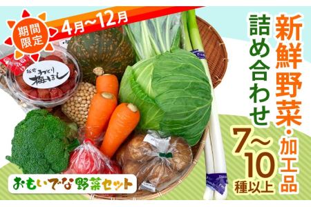 期間限定！季節の野菜・加工品 7～10種以上 詰合せ「おもいでな野菜セット」 [e26-a001]