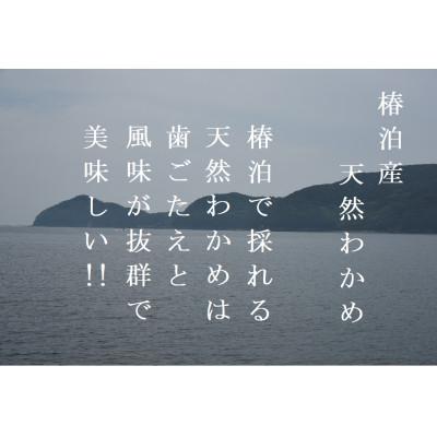 ふるさと納税 阿南市 塩蔵わかめ1kg×2