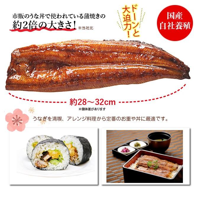 国産うなぎ 鰻の蒲焼き（特大サイズ１尾270g） 送料無料(離島を除く）特大 化粧箱  贈り物 ギフト グルメ プレゼント