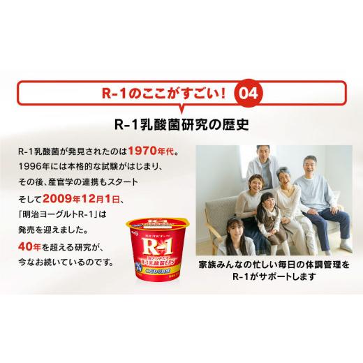 ふるさと納税 茨城県 守谷市 明治プロビオヨーグルトR-1 こだわり食感 100g×24個×6回