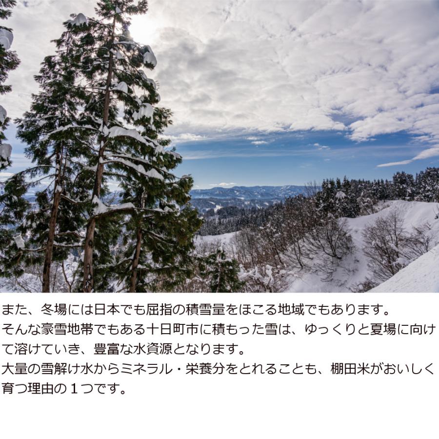 新潟県 十日町市産 魚沼コシヒカリ 米屋五郎兵衛 棚田米 令和5年産 玄米 30kg