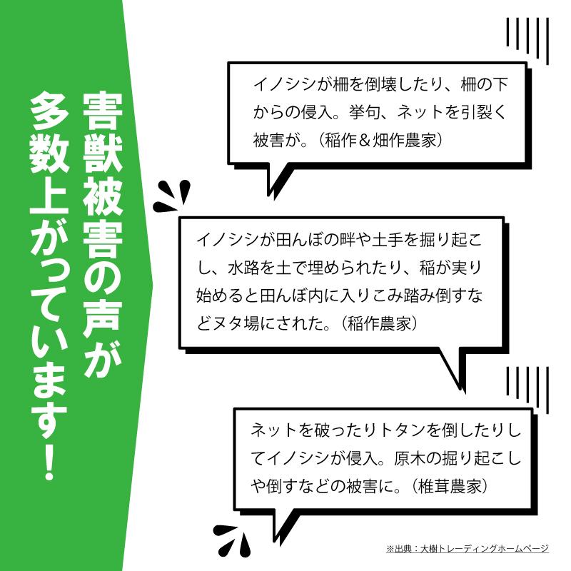 ＼ セットでお得！ ／ イノシシびっくり・支柱 セット DG505 DG951 電池付 イノシシ対策 被害 撃退 イノシシ クマ タヌキ 猪よけ 猪 大樹トレーディング 新EZ